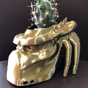 Peut inclure: Un pot de fleurs en or imprimé en 3D en forme de tête de Predator avec un petit cactus qui pousse à l'intérieur.
