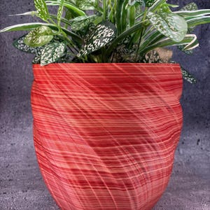 Pode incluir: Um vaso de plantas listrado em vermelho e laranja com uma planta verde com folhas salpicadas de branco e verde. O vaso tem um design texturizado único e está sobre um fundo cinza escuro.