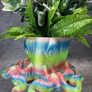 May include: A colorful octopus-shaped planter with a gradient of blue, green, and pink hues. The planter holds a variety of green plants with white-edged leaves. The tentacles of the octopus curl around the base, adding a whimsical touch to this unique home decor item.