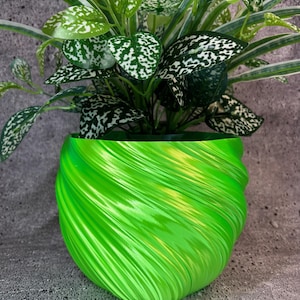 May include: A green swirl planter with a leafy green plant with white speckles.