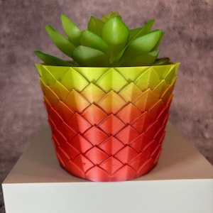 Unique Planter-Small Flowerpot for Plants of all kinds - 4" Diameter by 3" Tall Colorful Planter Unique Planter; USA Store