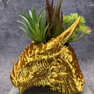 May include: A gold-colored dragon head planter with a textured surface. The planter holds a variety of small, green and reddish-brown succulents. The dragon's face has detailed features, including scales and horns, creating a fantasy-themed decor item.