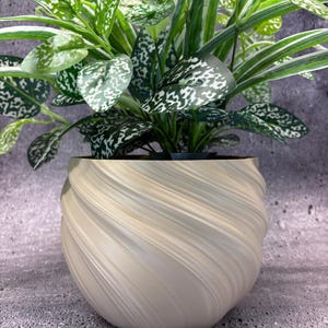 Pode incluir: Uma planta em vaso com folhas verdes e brancas salpicadas. A planta está num vaso creme com um design em espiral. O vaso tem formato arredondado e assenta numa superfície cinzenta. É uma planta de interior.