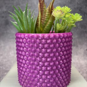 May include: A purple planter with a textured geometric pattern, holding three small green succulent plants.