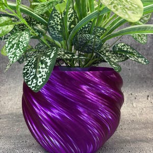 May include: A vibrant purple, spiral-textured planter pot holding a houseplant with green and white speckled leaves. The pot has a glossy finish and a unique, swirling design, adding a modern touch to the plant's presentation.