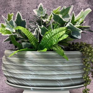 Puede incluir: Una maceta gris con una superficie ondulada y texturizada. La maceta tiene un platillo a juego y está llena de plantas verdes de hoja.