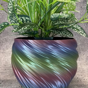 May include: A colorful, swirled planter pot in shades of blue, green, and red, holding a green plant with white-speckled leaves. The pot has a unique, textured design, perfect for indoor or outdoor use.