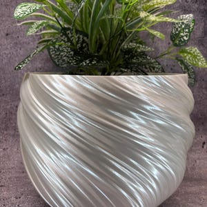 Puede incluir: Una maceta de cerámica blanca con un diseño de remolino y textura. La maceta está llena de una planta verde con motas blancas.