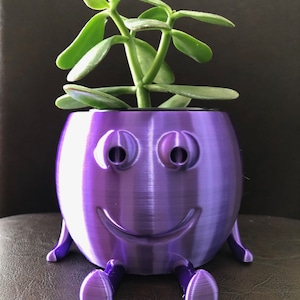May include: Purple planter with a smiling face and legs, holding a small green succulent plant.