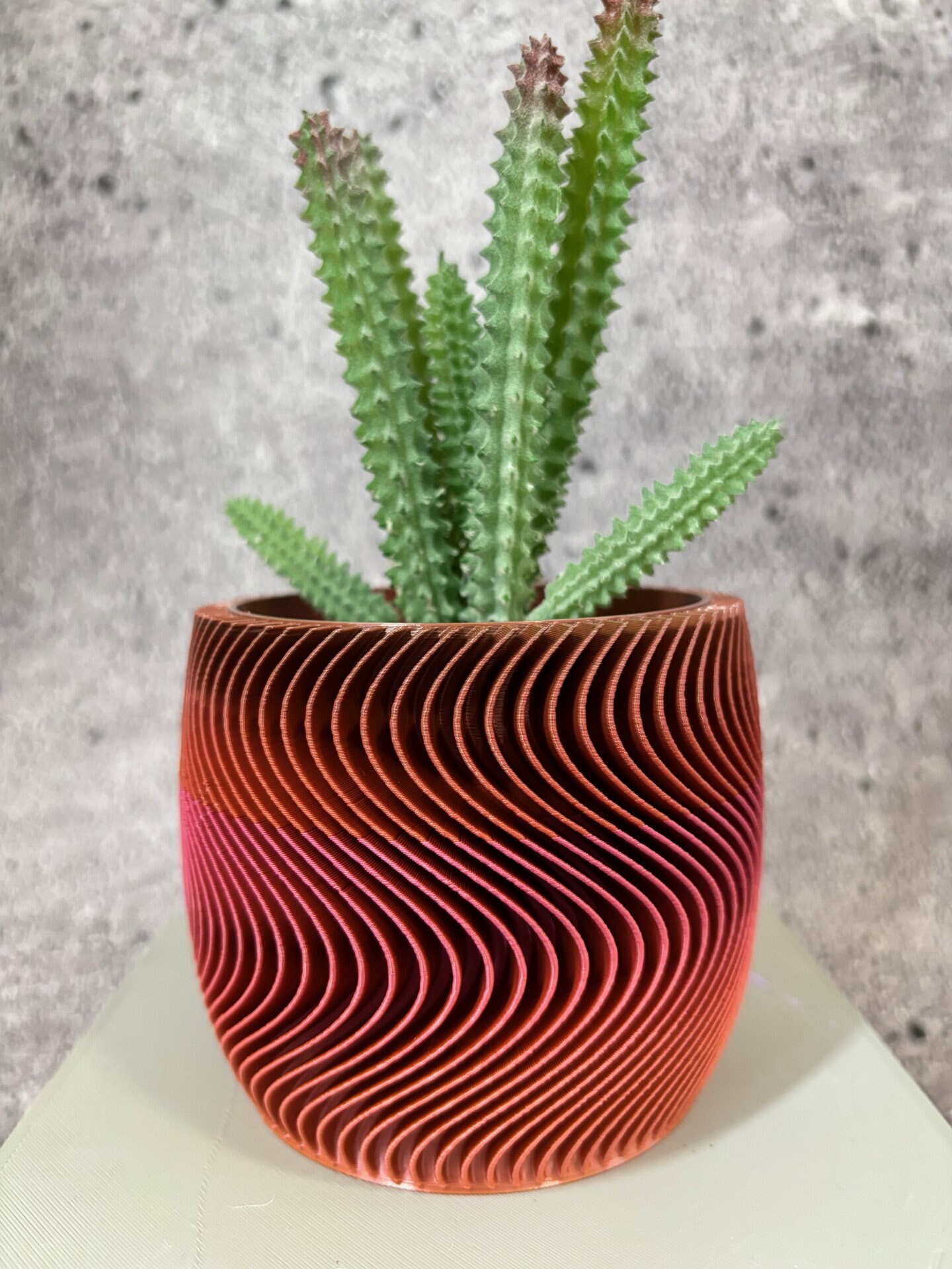 4種鉢 小中大特大 ユニークなプランター - あらゆる種類の植物用の小さな植木鉢 - 直径4