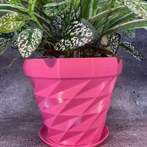Puede incluir: Una maceta rosa brillante con un diseño geométrico, que contiene una planta verde con hojas moteadas de blanco. La maceta tiene un platillo a juego y una serie de facetas anguladas en forma de diamante, creando una apariencia texturizada.