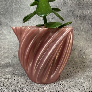 May include: A pink, swirl-shaped ceramic planter with a small green succulent plant inside.