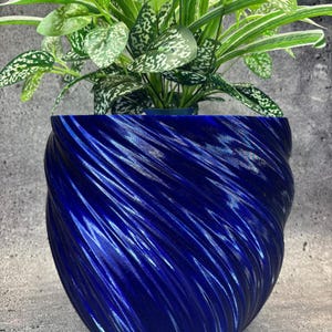 May include: A vibrant blue, textured planter with a swirling design, holding a lush green plant with white-speckled leaves. The planter's unique shape and color create a striking contrast with the plant's foliage, making it a decorative piece for any home.