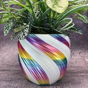 May include: A vibrant, rainbow-striped planter pot holds a lush green plant with speckled leaves. The pot's design features a swirling pattern of white, pink, yellow, and blue, creating a colorful and eye-catching display. The plant's leaves have a mix of green and white.