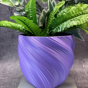May include: A purple, spiral-patterned plant pot holding green and white leafy plants. The pot has a smooth, swirling design and sits on a light gray surface. The plants have a mix of green and white leaves.
