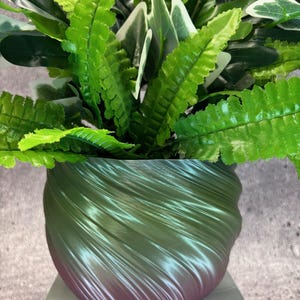 May include: A decorative plant arrangement featuring vibrant green ferns and other foliage in a swirling, two-toned pot. The pot transitions from a green hue at the top to a reddish-purple at the base, creating a visually appealing contrast.