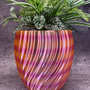 May include: A plant pot with a textured, swirling design in orange, pink, and purple. The pot contains a green plant with white-spotted leaves and long, slender green leaves. The pot is placed on a grey, textured surface.