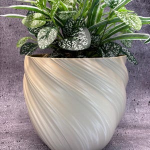 Peut inclure: Un pot en céramique crème, tourbillonnant, contient une plante verte luxuriante avec des feuilles tachetées de blanc. Le pot présente un design texturé unique avec un motif en spirale. Les feuilles de la plante ont un motif tacheté, ajoutant un intérêt visuel. C'est un objet décoratif.