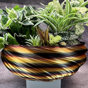 Puede incluir: Una maceta decorativa con un diseño en forma de concha, con una mezcla de rayas marrones, doradas y negras. La maceta está llena de una variedad de plantas verdes, creando una exhibición vibrante. La maceta se asienta sobre una base blanca.