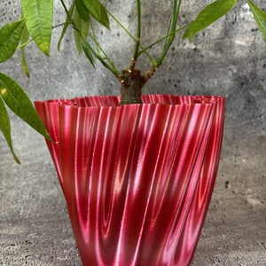 May include: A red and white swirl patterned planter with a green plant growing out of it.