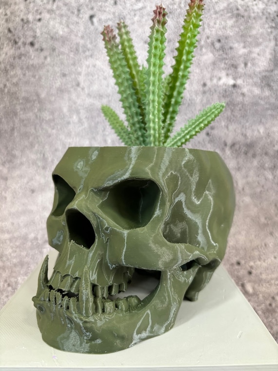 Medium Skull Pot for Succulents, Cactus or Any Plant - 4.5"x6" (olive Green  Color); USA Store - Etsy