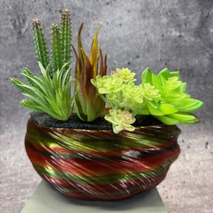 Mellanstor, grund, vriden kruka för suckulenter eller Cati (flerfärgad) - 20 cm i diameter och 8,5 cm hög; Modern kruka; USA-butik