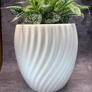 Könnte beinhalten: Ein weißer, spiralförmig strukturierter Blumentopf mit einer üppigen grünen Pflanze mit weiß gesprenkelten Blättern. Der Topf hat eine abgerundete Form und eine strukturierte Oberfläche. Die Blätter der Pflanze sind leuchtend grün mit weißen Flecken.