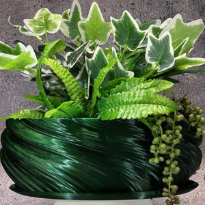 Puede incluir: Una maceta verde en forma de espiral con una base blanca, llena de plantas de hojas verdes y blancas.