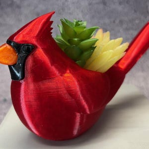 Puede incluir: Un macetero de pájaro cardenal rojo con una planta suculenta verde y amarilla en su interior. El macetero está hecho de plástico impreso en 3D.