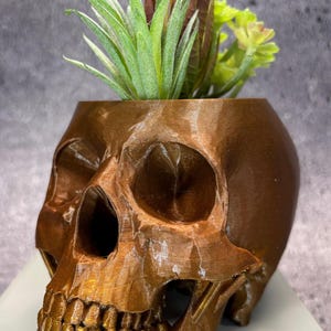 Medium Skull pot for Succulents, Cactus or any Plant (Metallic Copper and Bronze color) - 4&quot;x6&quot;; USA Store