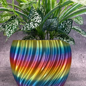 May include: A vibrant, rainbow-colored planter with a swirling design holds a lush green plant with speckled leaves. The planter's colors transition smoothly from red to yellow to blue, creating a striking visual contrast with the plant's foliage. A decorative item for home decor.