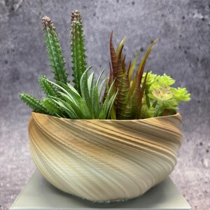Liten, grund, vriden kruka för suckulenter eller Cati (färg i sandiga jordtoner) - 15 cm diameter och 7,5 cm höjd; Modern kruka; USA-butik