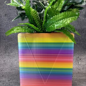 May include: A square, rainbow-colored planter with a geometric design, holding a vibrant green plant with multiple leaves. The planter's colors transition from red to purple, yellow, and green. The plant has a mix of green and white leaves.