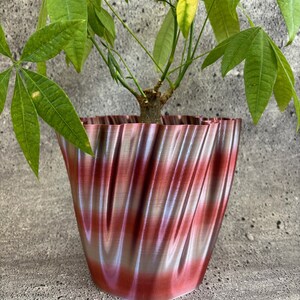 May include: A red and white wavy planter with a green plant growing out of it. The planter has a unique, textured design.