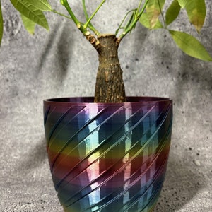 May include: A rainbow iridescent planter with a swirling pattern. A green leafy plant is growing in the planter.