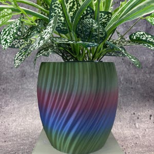 May include: A houseplant with green and white patterned leaves in a decorative pot. The pot is cylindrical and features a colour gradient, transitioning from green at the top to blue at the bottom, with red in the middle. The pot has a textured, swirling design.