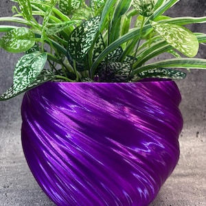 May include: A vibrant purple, textured plant pot holds a lush green plant with white-speckled leaves. The pot's design features a swirling pattern, adding a modern touch to the plant's presentation. The plant's leaves are a mix of solid green and variegated patterns.