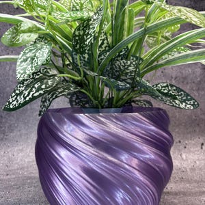 May include: A metallic purple planter with a spiraling, ribbed texture containing a lush green and white variegated plant. The pot features a rounded, bulbous shape with a glossy finish that catches the light, creating deep shadows in the grooves.