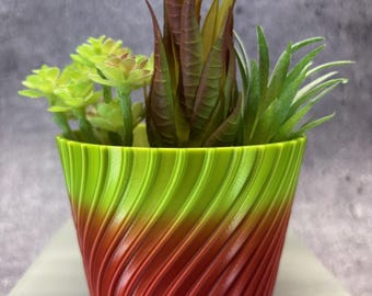 ユニークなプランター - あらゆる種類の植物用の小さな植木鉢 - 直径 4