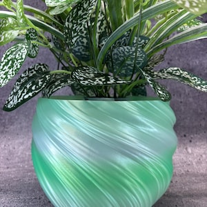 May include: A green and white patterned plant in a decorative, swirled, green planter. The planter has a glossy finish and a unique, textured design. The plant has green leaves with white spots and stripes.