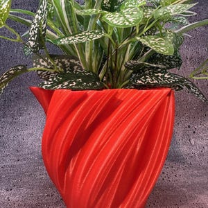 May include: A bright red, 3D printed planter with a swirling, textured design. A green plant with white speckles is growing in the planter.