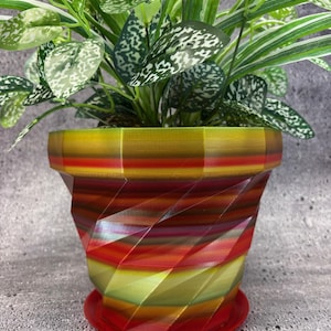 Puede incluir: Una maceta multicolor con un platillo a juego. La maceta presenta un diseño geométrico con bandas de rojo, amarillo y verde. Contiene una variedad de plantas verdes con hojas moteadas de blanco.