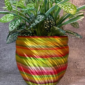 May include: A colorful, striped, swirl-patterned ceramic planter with a green plant with white speckles.