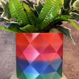 Può includere: Un vaso da fiori geometrico con un design sfumato arcobaleno. Il vaso è realizzato in plastica liscia e colorata e presenta un motivo a forma di diamante. Una pianta verde sta crescendo nel vaso.