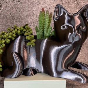 May include: Black cat-shaped planter with a succulent plant inside. The planter is made of a smooth, shiny material and has a realistic cat design.