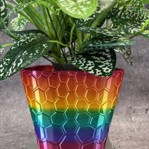 May include: A rainbow-colored planter with a honeycomb pattern. The planter is made of plastic and has a glossy finish.