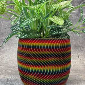 May include: A colorful, wavy, cylindrical planter with a green plant inside. The planter has a red, yellow, blue, and green color scheme.