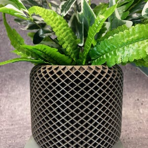 May include: A dark gray planter with a geometric diamond pattern design. The planter is filled with green and white leafy plants.