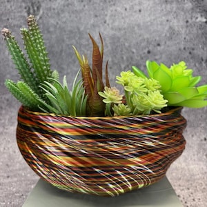 May include: A colorful, swirled, ceramic planter with a variety of green succulents and cactus plants. The planter has a unique, wavy design with black, red, yellow, and white stripes.