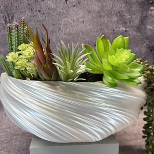 May include: A white, shell-shaped planter filled with a variety of artificial succulents and cacti. The faux plants include green, brown, and yellow-green varieties. The planter sits on a gray surface against a textured gray background.